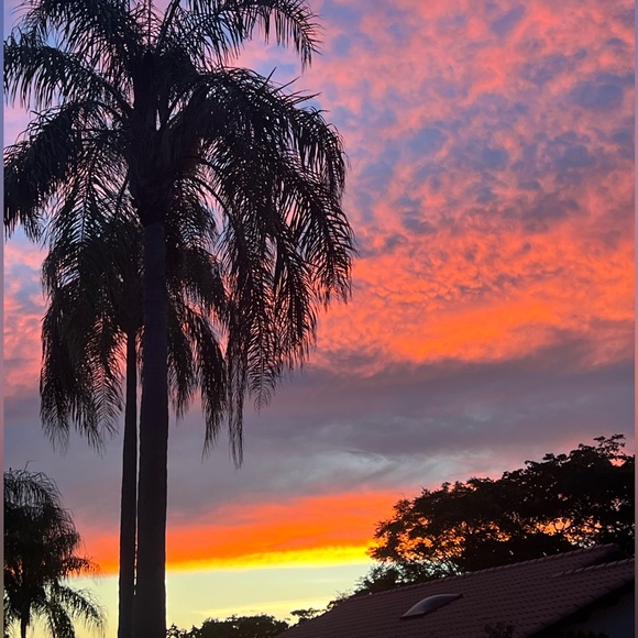 RANDOM PULLS LIVE - Picture 7 of 7